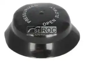 Radiator Cap