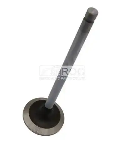 Valve-Exhaust