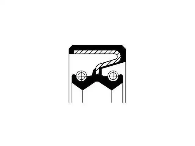 Oil Seal