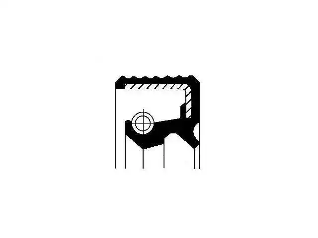 Oil Seal