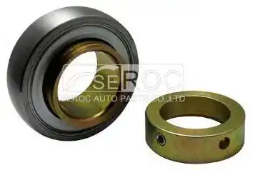 Radial Roller Bearing