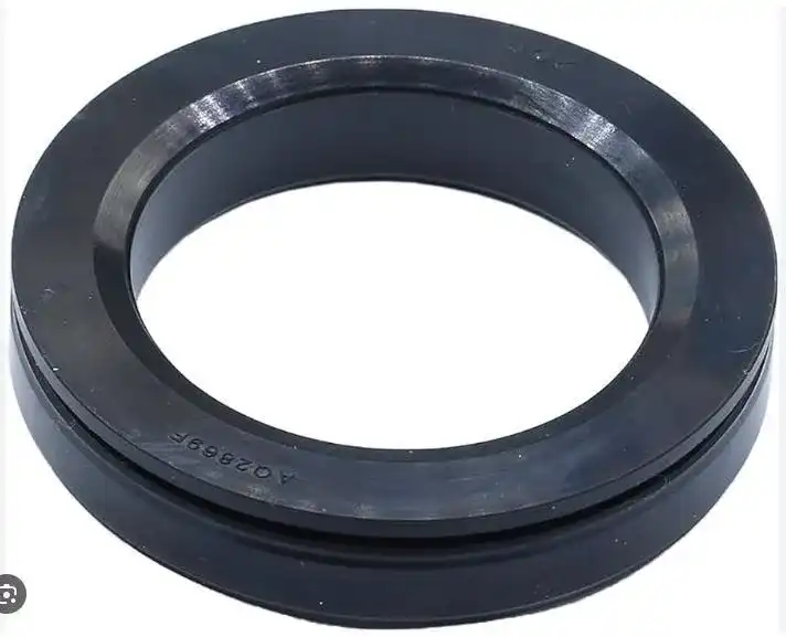 Oil Seal
