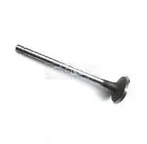 Valve-Exhaust