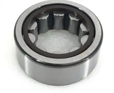 Radial Roller Bearing