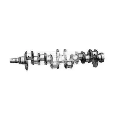 Crankshaft(Casting)