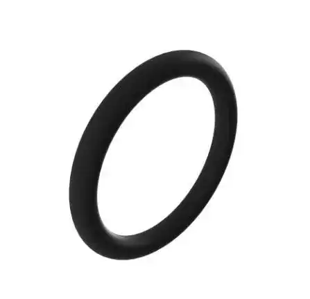 Seal Ring