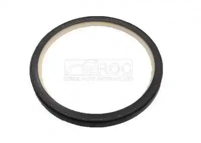 Oil Seal