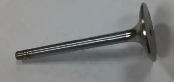 Valve-Inlet