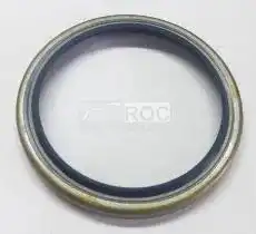 Oil Seal
