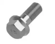 Bolt/Nut