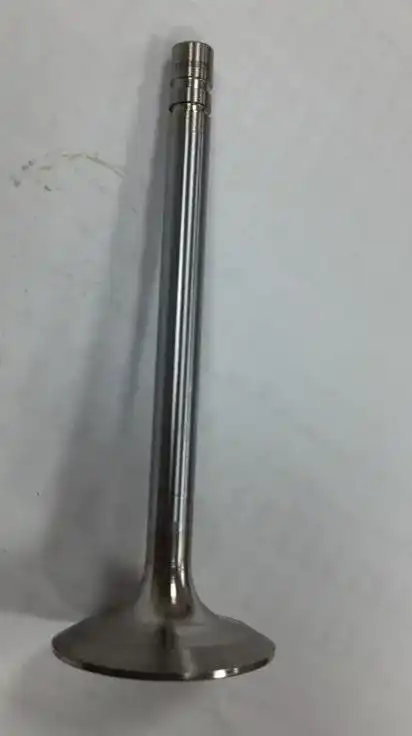 Valve-Inlet