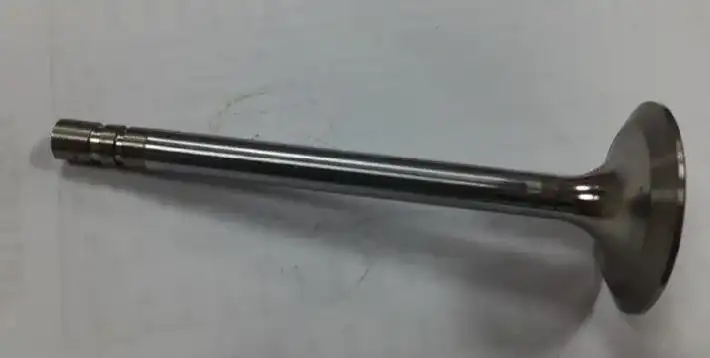 Valve-Inlet