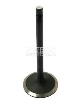 Valve-Inlet