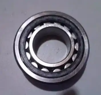Radial Roller Bearing