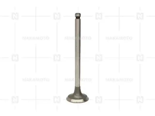 Valve-Exhaust