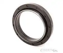 Oil Seal