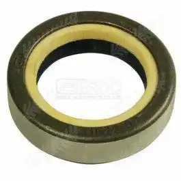 Oil Seal