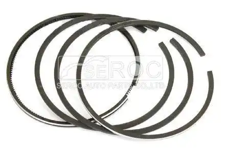 Piston ring