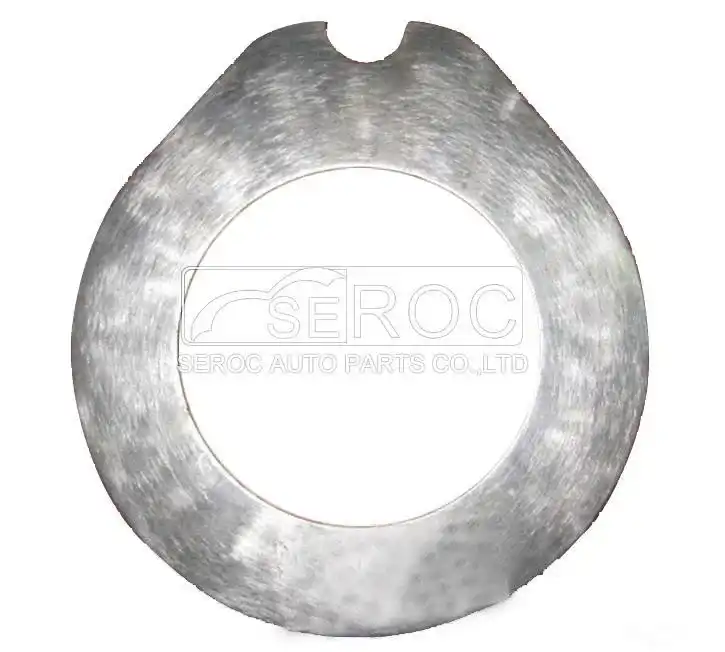 Friction Disc