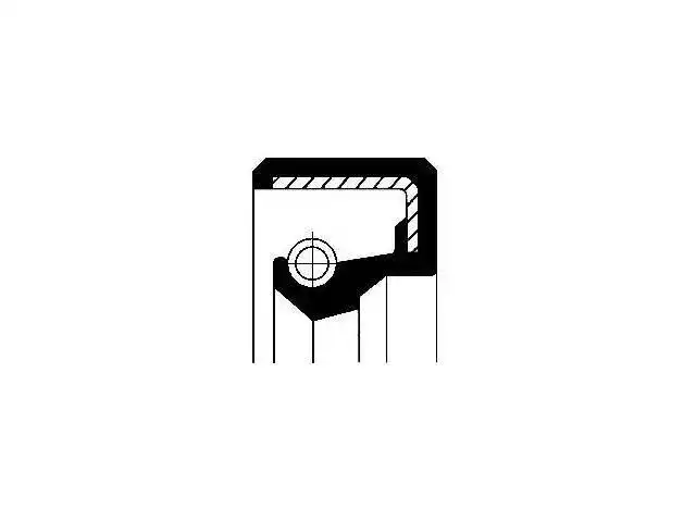 Oil Seal