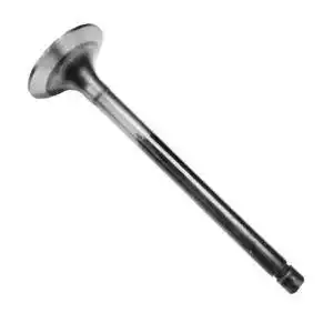 Valve-Exhaust