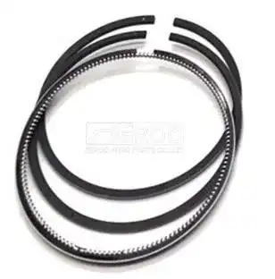 Piston ring