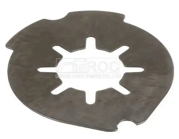 Friction Disc