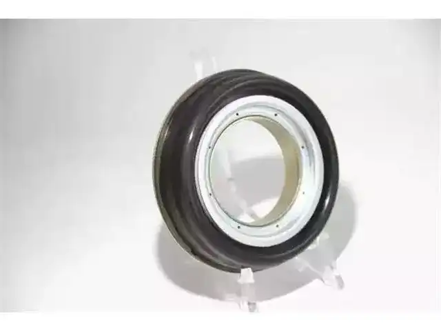 Oil Seal