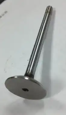 Valve-Exhaust