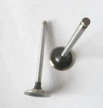 Valve-Inlet