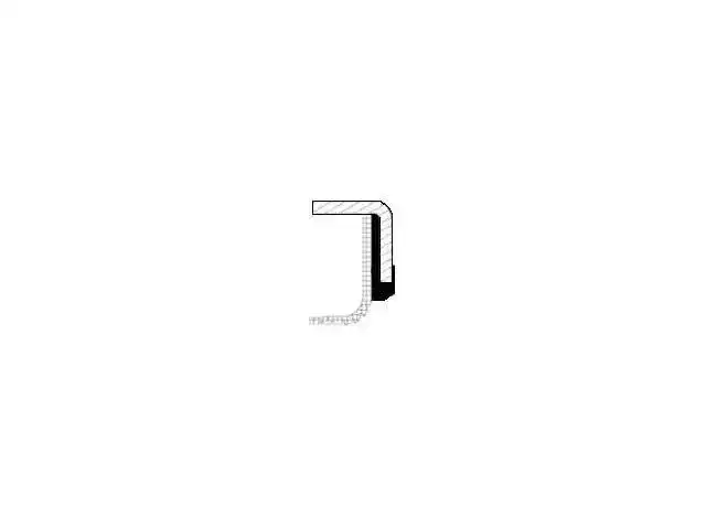 Oil Seal