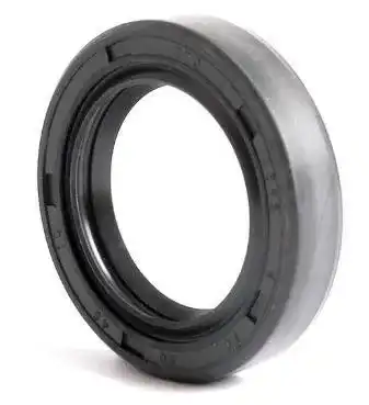 Oil Seal