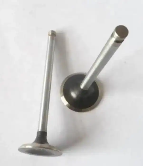 Valve-Exhaust