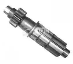 Gear