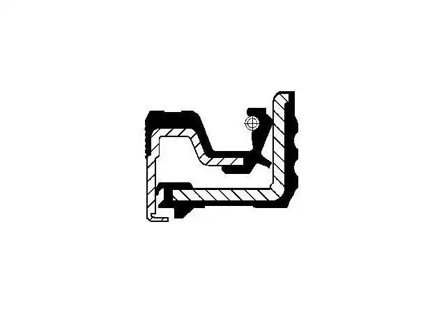 Oil Seal