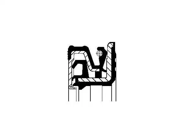 Oil Seal