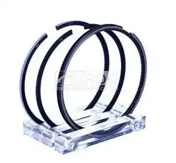 Piston ring