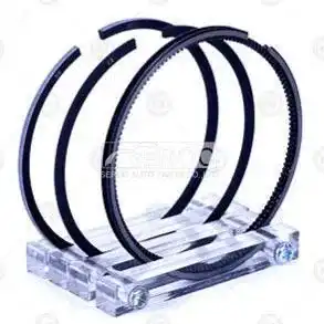 Piston ring