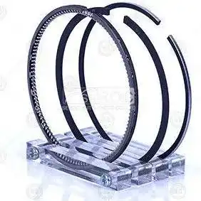 Piston ring