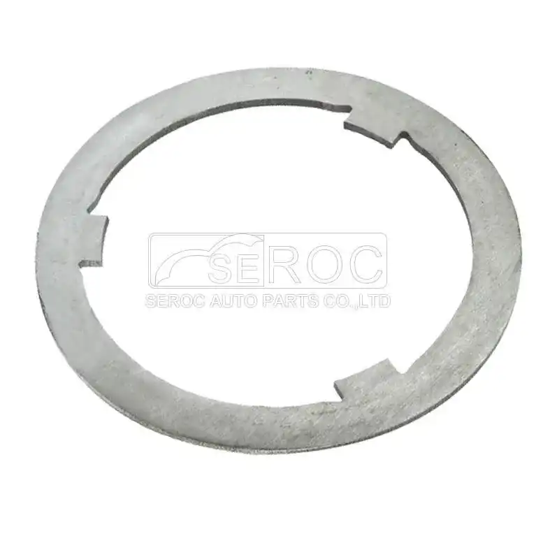 Friction Disc
