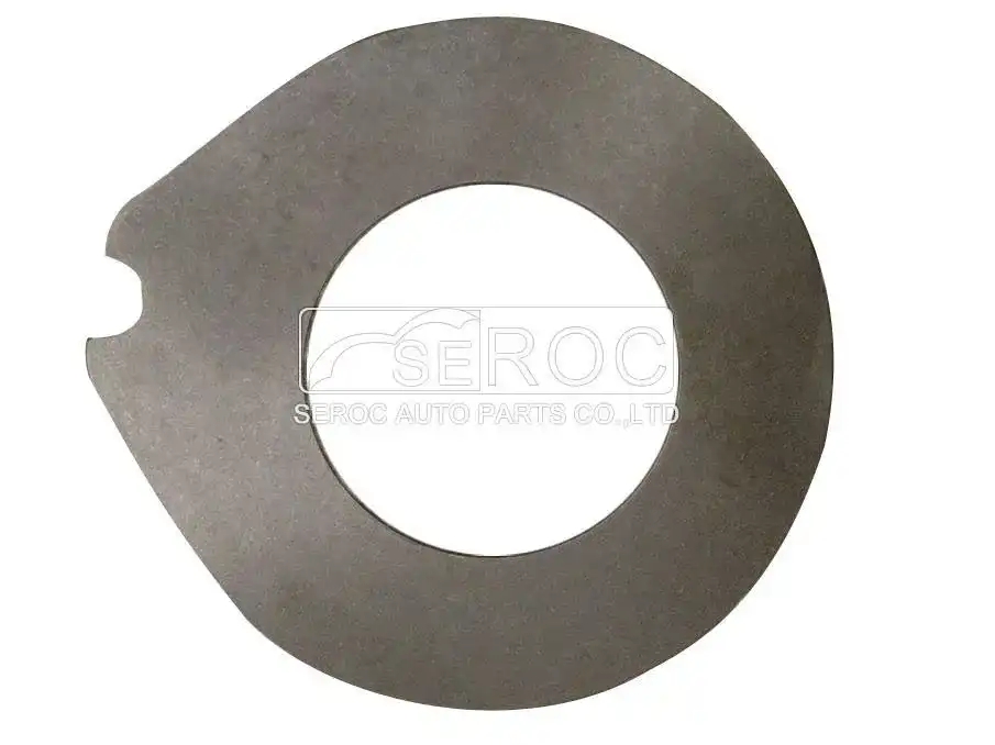 Friction Disc