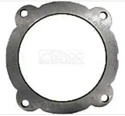 Friction Disc