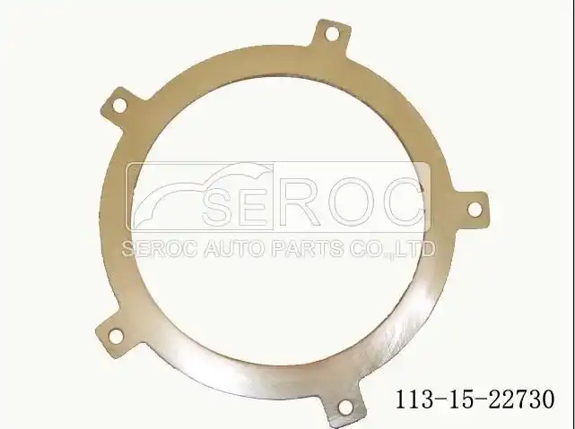 Friction Disc
