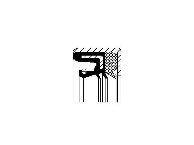 Oil Seal