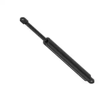 Gas Spring