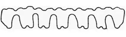 Cylinder Head Gasket