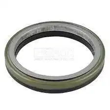 Oil Seal