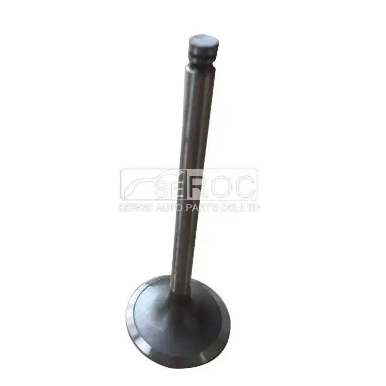 Valve-Inlet