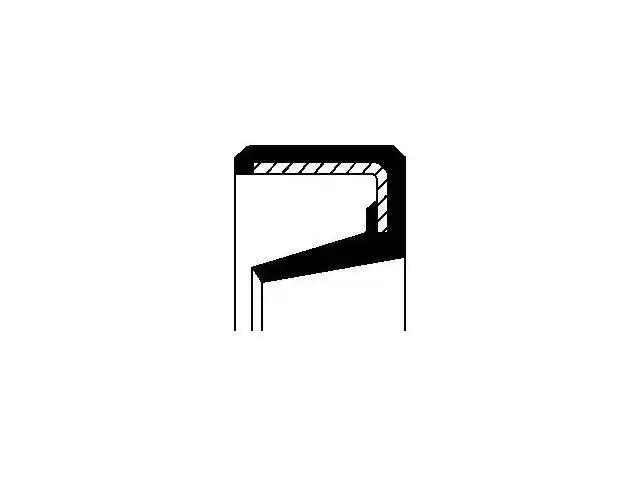 Oil Seal