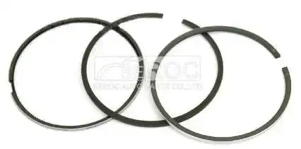 Piston ring